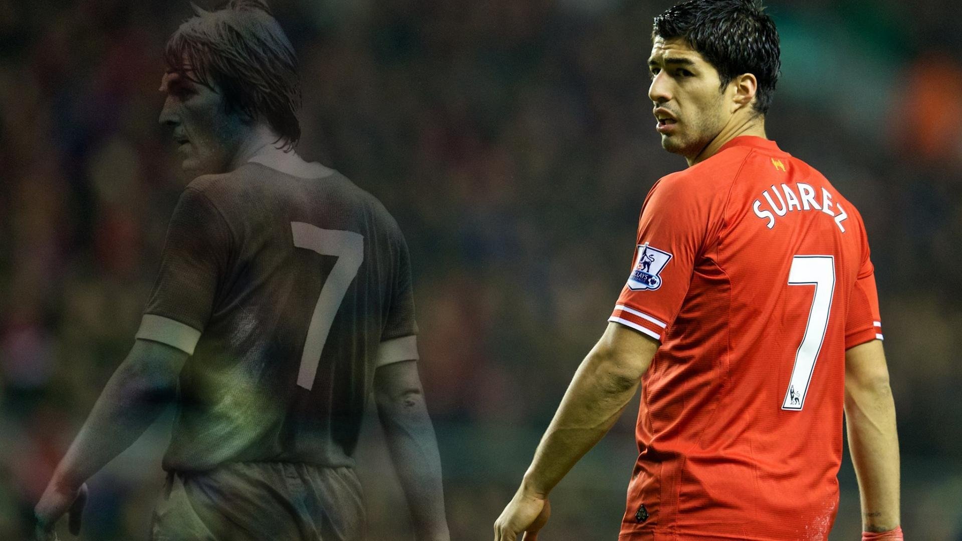 德甲的球迷参与度提升方案,德甲球迷助威