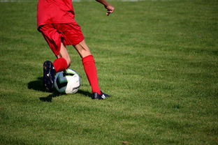 九游娱乐平台-中国足球职业联赛完善俱乐部财务与运营体系，足球职业俱乐部运营方案