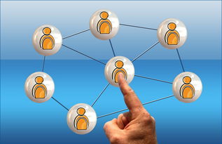 九游娱乐app官网-中国足球退役球员再就业支持政策建议，中国足球队退役球员